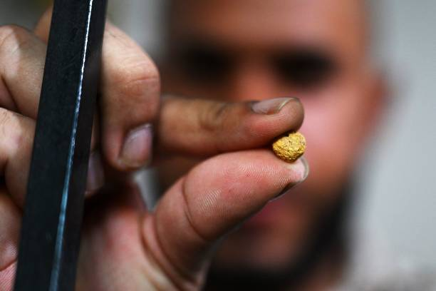 Gold nugget in dirt pan