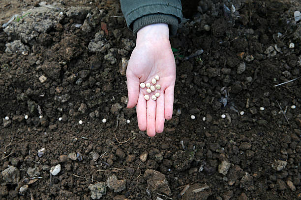 Girls gardening class