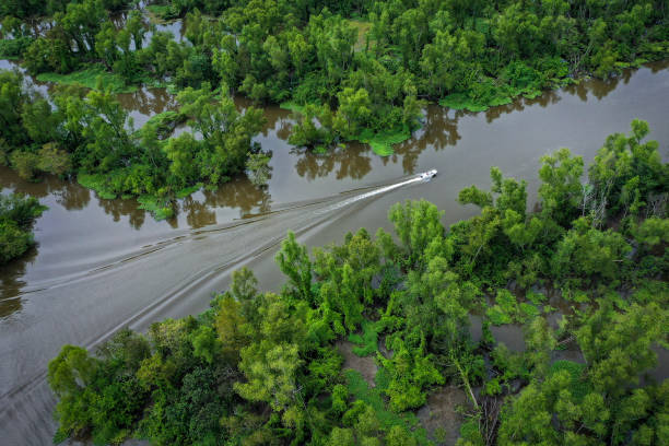 Cypress swamp boat tour