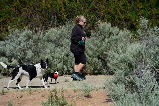Owner walking dog