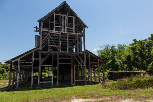 Colonial plantation ruins